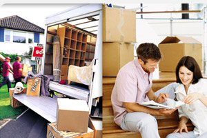 Florida State Movers Services
